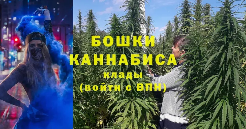 где купить   Козельск  Шишки марихуана LSD WEED 